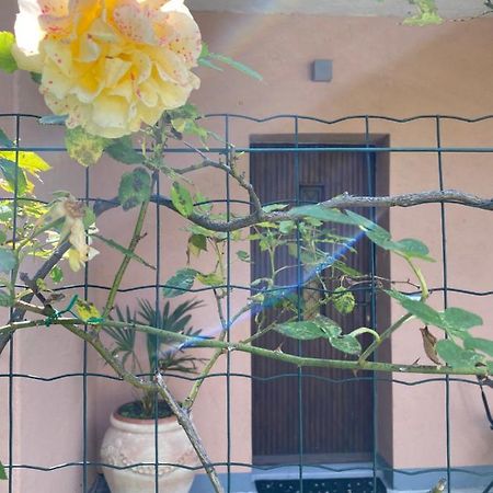 Azalea Appartamenti Cannobio Zewnętrze zdjęcie