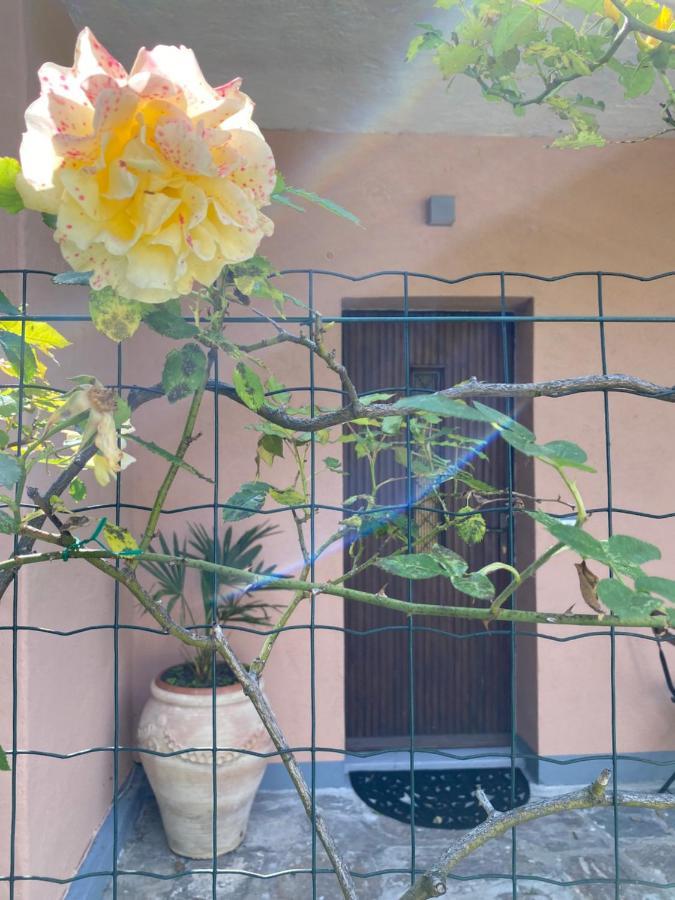 Azalea Appartamenti Cannobio Zewnętrze zdjęcie